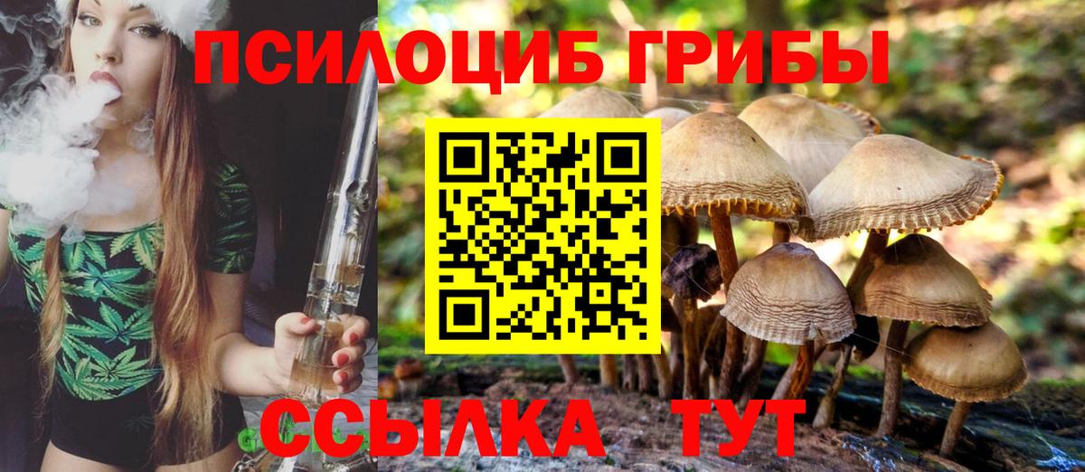 Псилоцибиновые грибы GOLDEN TEACHER  Вход с VPN  наркота  Каменск-Шахтинский 