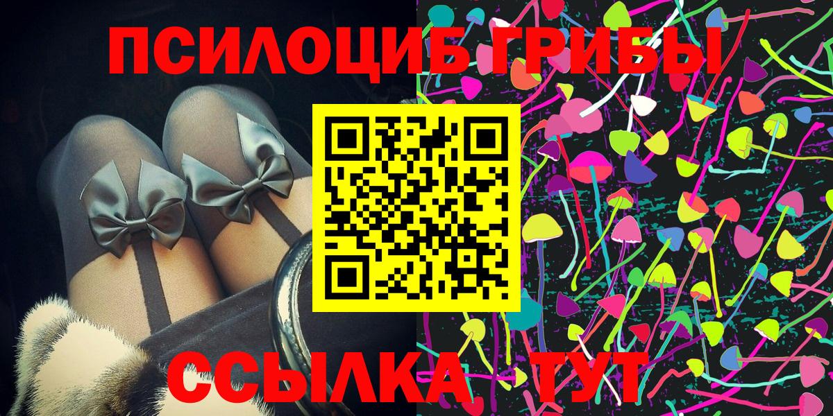 Псилоцибиновые грибы мицелий Каменск-Шахтинский